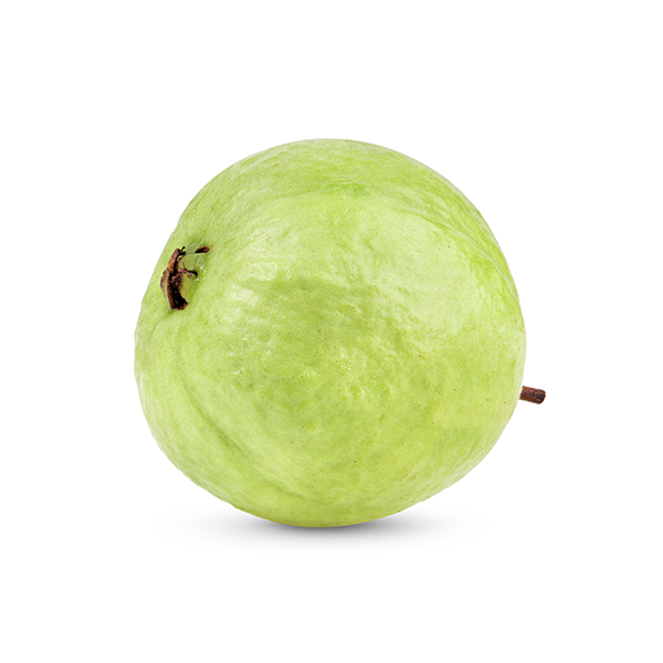Egyption guava