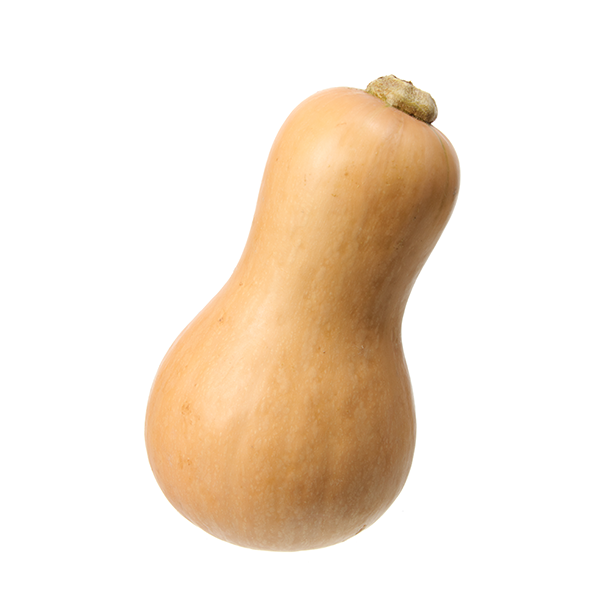 butternut squash