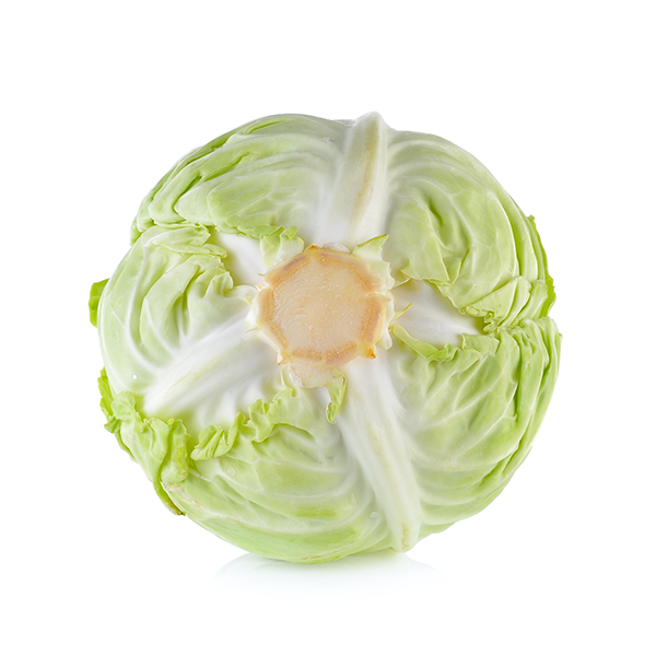flat cabbage